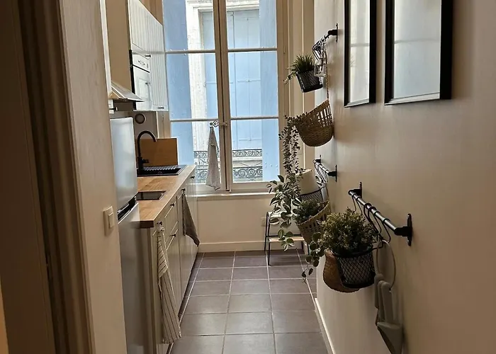 T3 Renove, Au Calme, Plein Centre Et Climatise * Montpellier