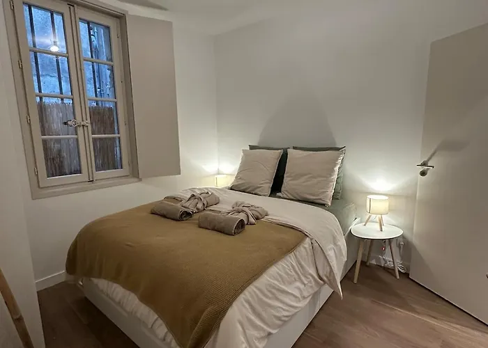 Apartment T3 Renove, Au Calme, Plein Centre Et Climatise *