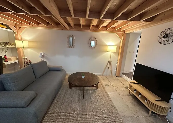 T3 Renove, Au Calme, Plein Centre Et Climatise