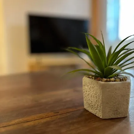 T3 Renove, Au Calme, Plein Centre Et Climatise Apartment *