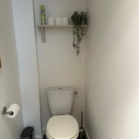 T3 Renove, Au Calme, Plein Centre Et Climatise Apartment