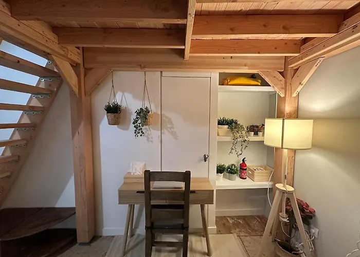 T3 Renove, Au Calme, Plein Centre Et Climatise Διαμέρισμα *